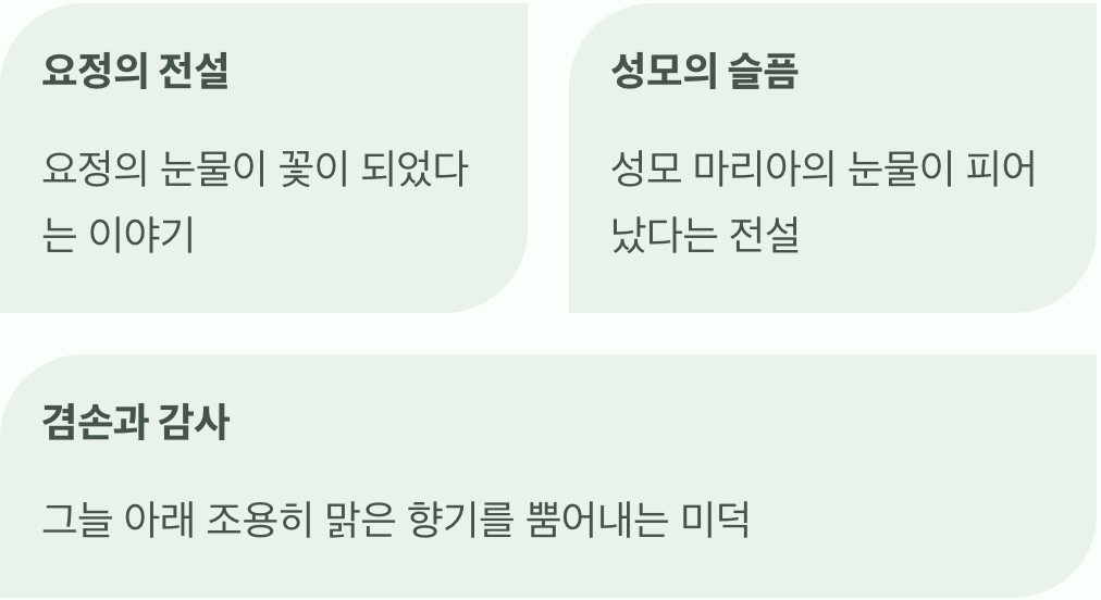 숲속 요정의 눈물