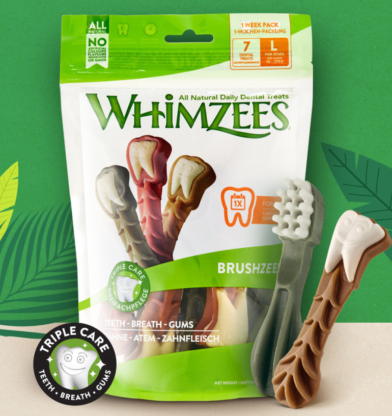 강아지 치석제거 껌 추천