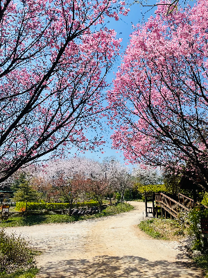당진 아그로랜드