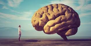 뇌 건강 영양제 기억력 이상 신호 늦기 전에 알아야할 것