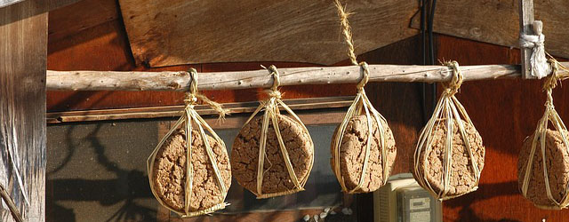 메주, 청국장, 대두콩 발효