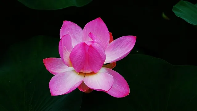 강릉 맛집 추천 여행코스에 포함하기 좋은 식당 리스트_9