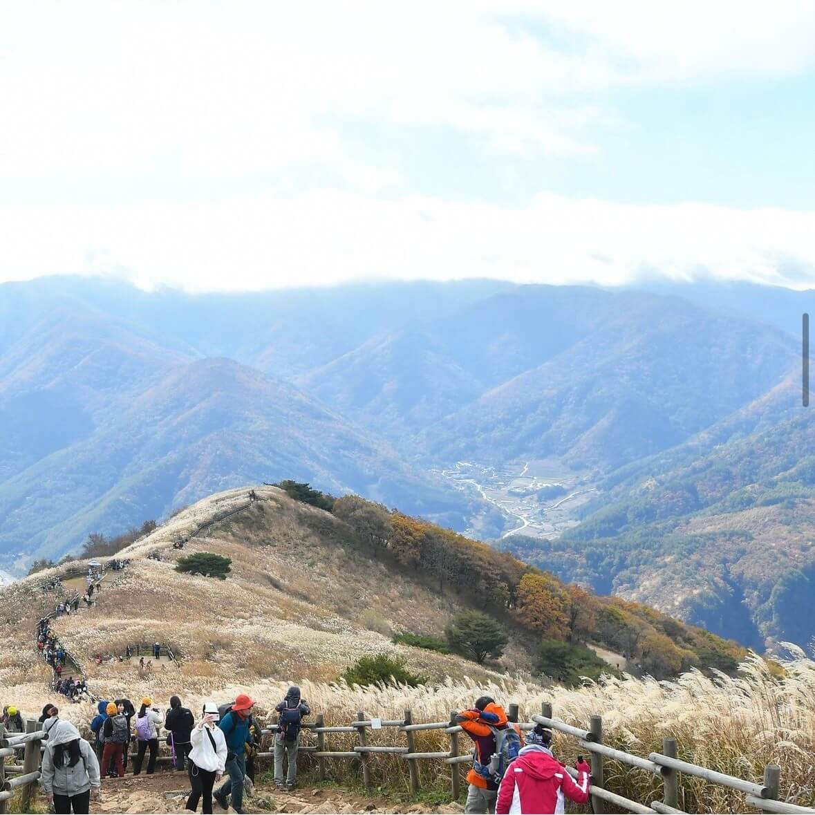 민둥산 억새꽃축제