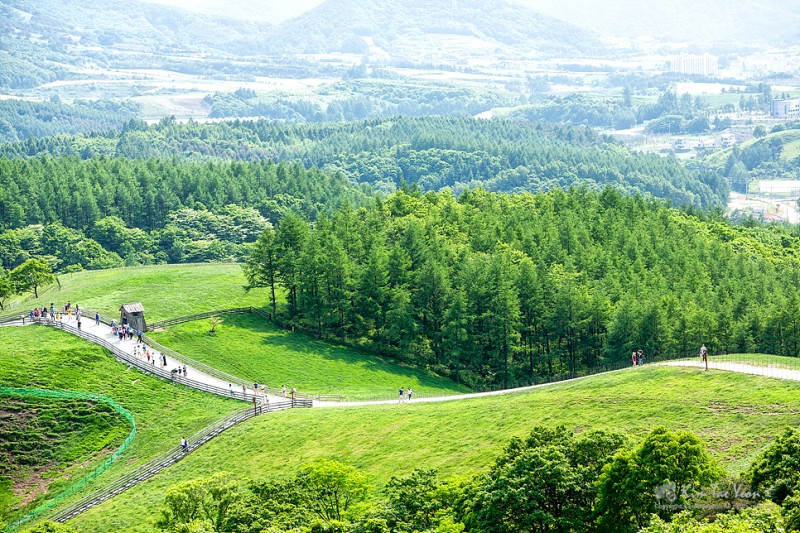 평창 가볼만한곳