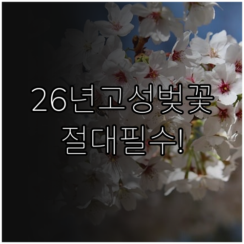 2026 고성군 벚꽃 나들이 정보 개..