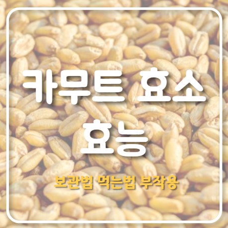 카무트 효소 효능