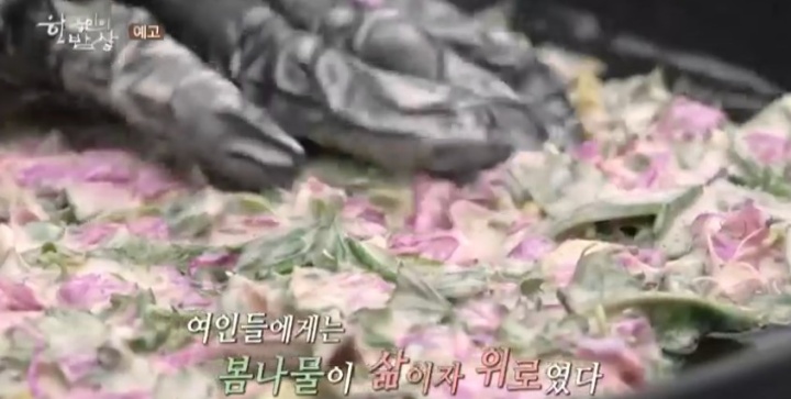 담양군-창평면-약초연구가