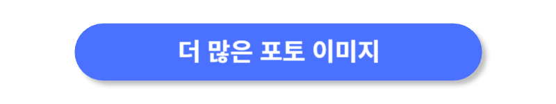버튼