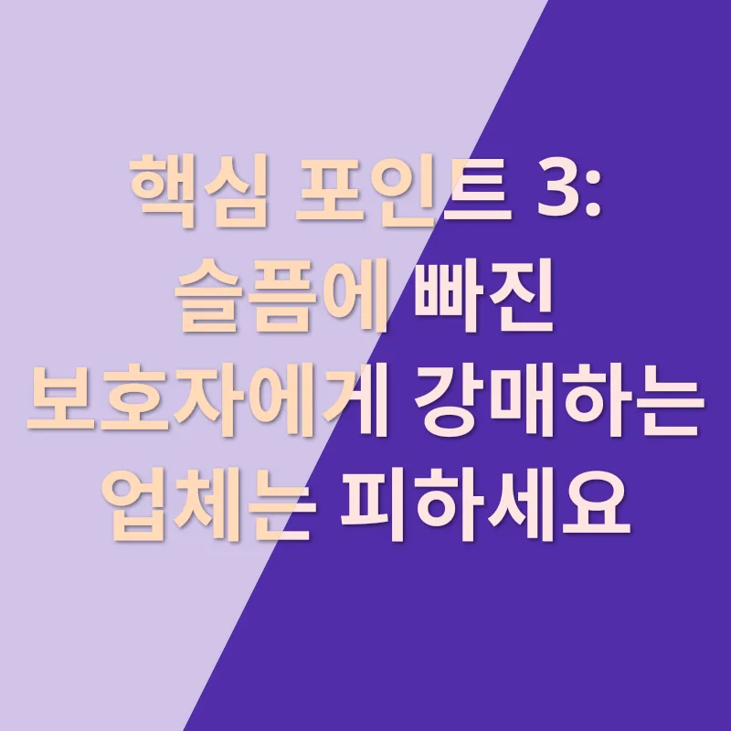 강아지 장례_3