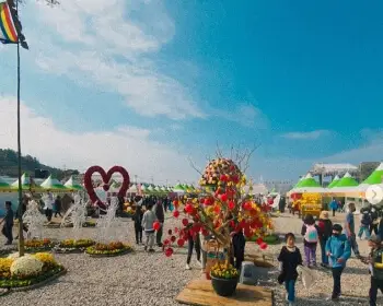 고흥 유자축제_6