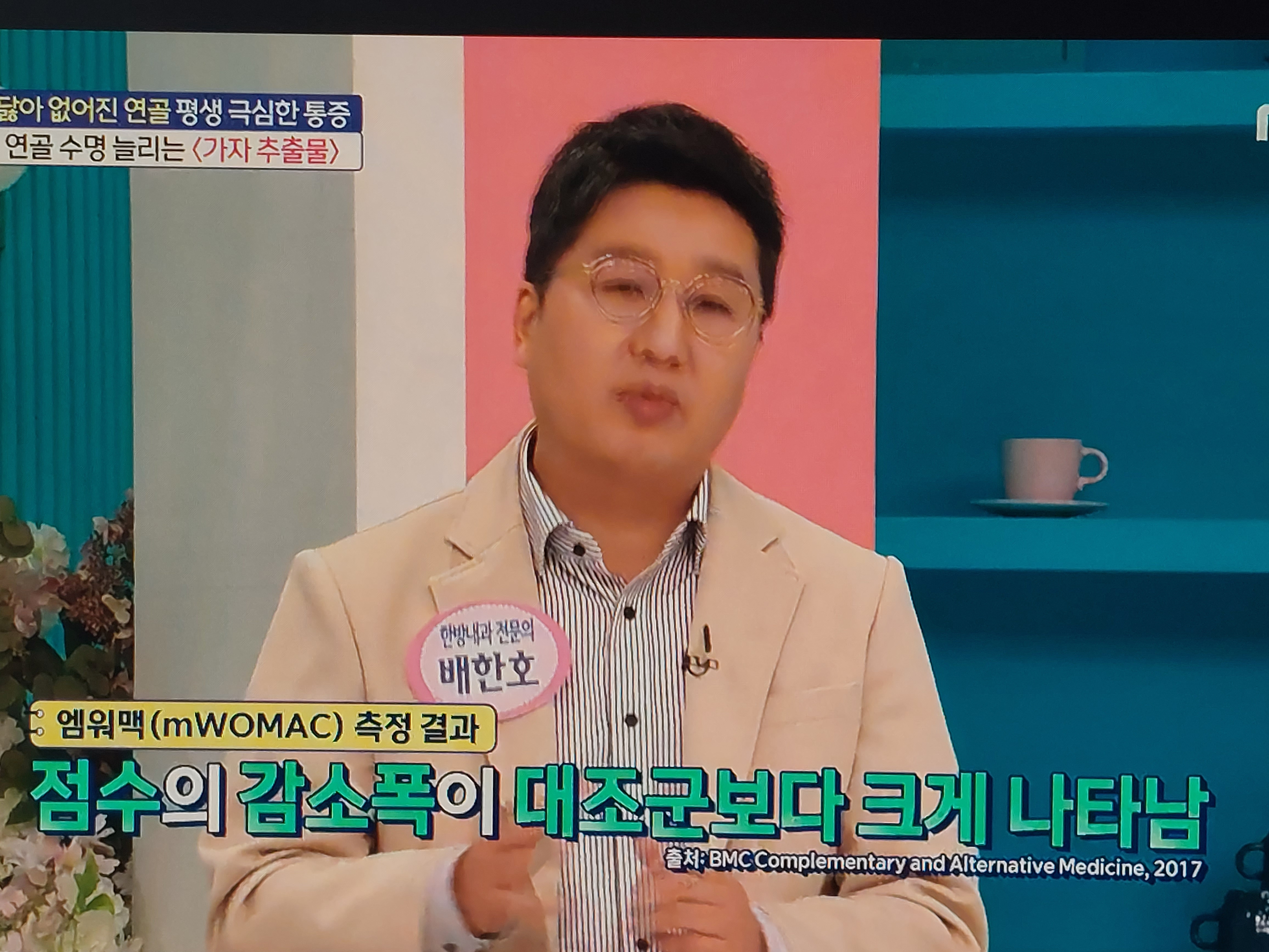 가자추출물 효능