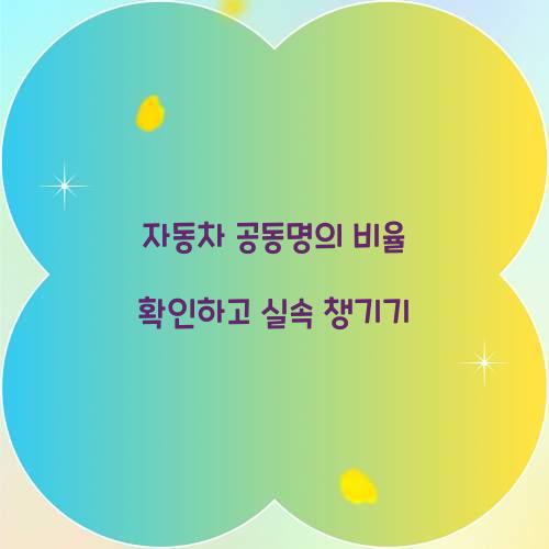 자동차 공동명의 비율