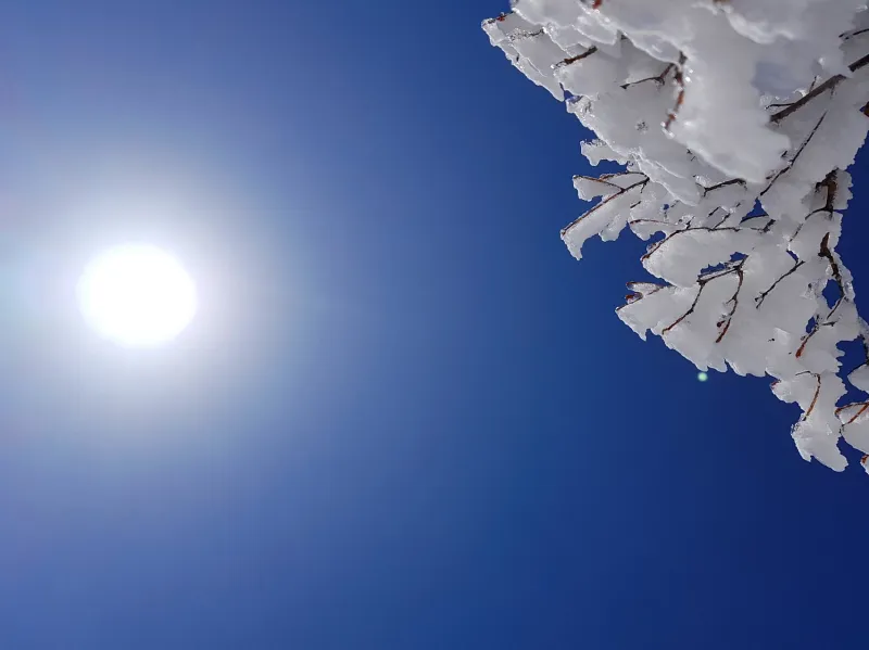 울산 가지산 서리꽃 상고대