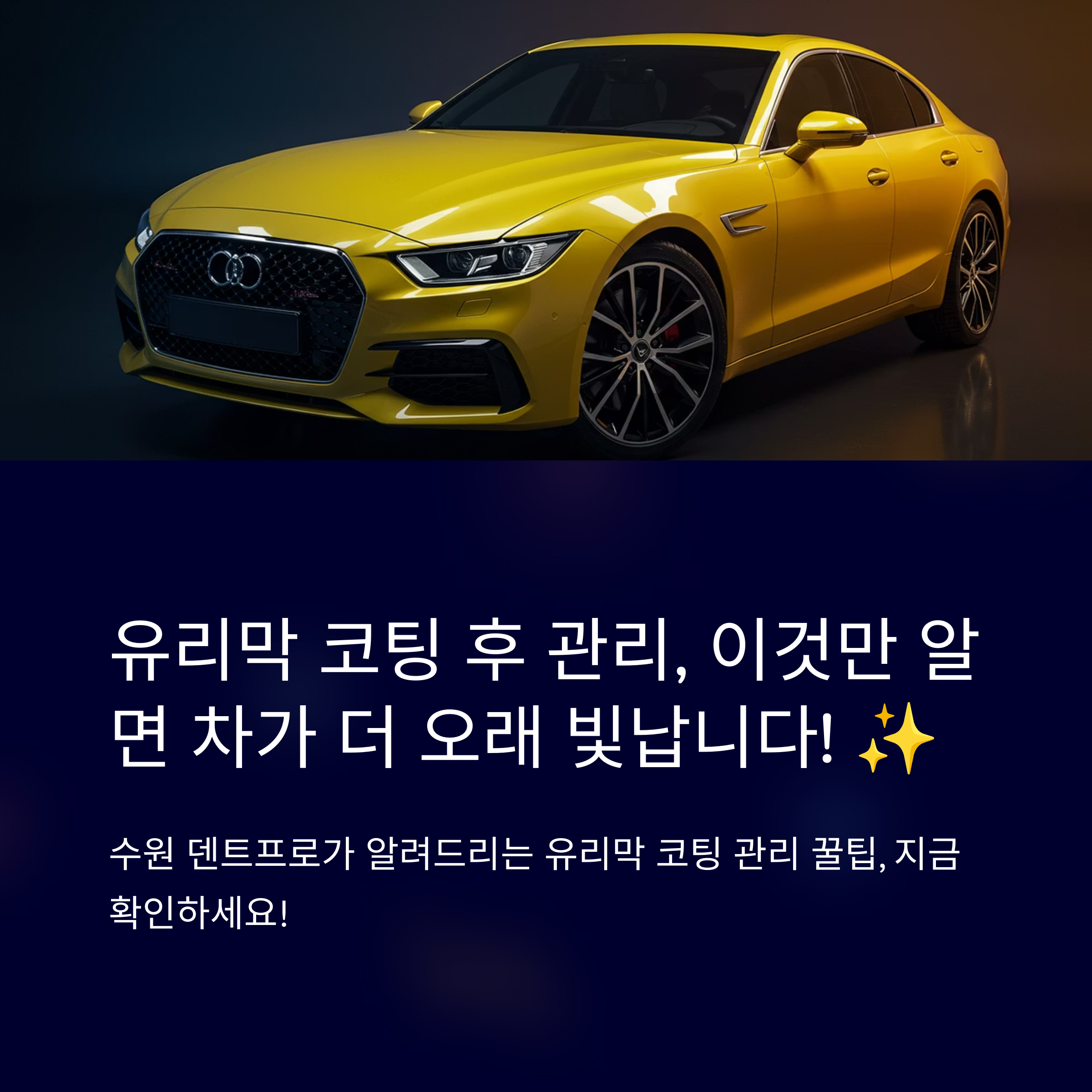 수원덴트프로