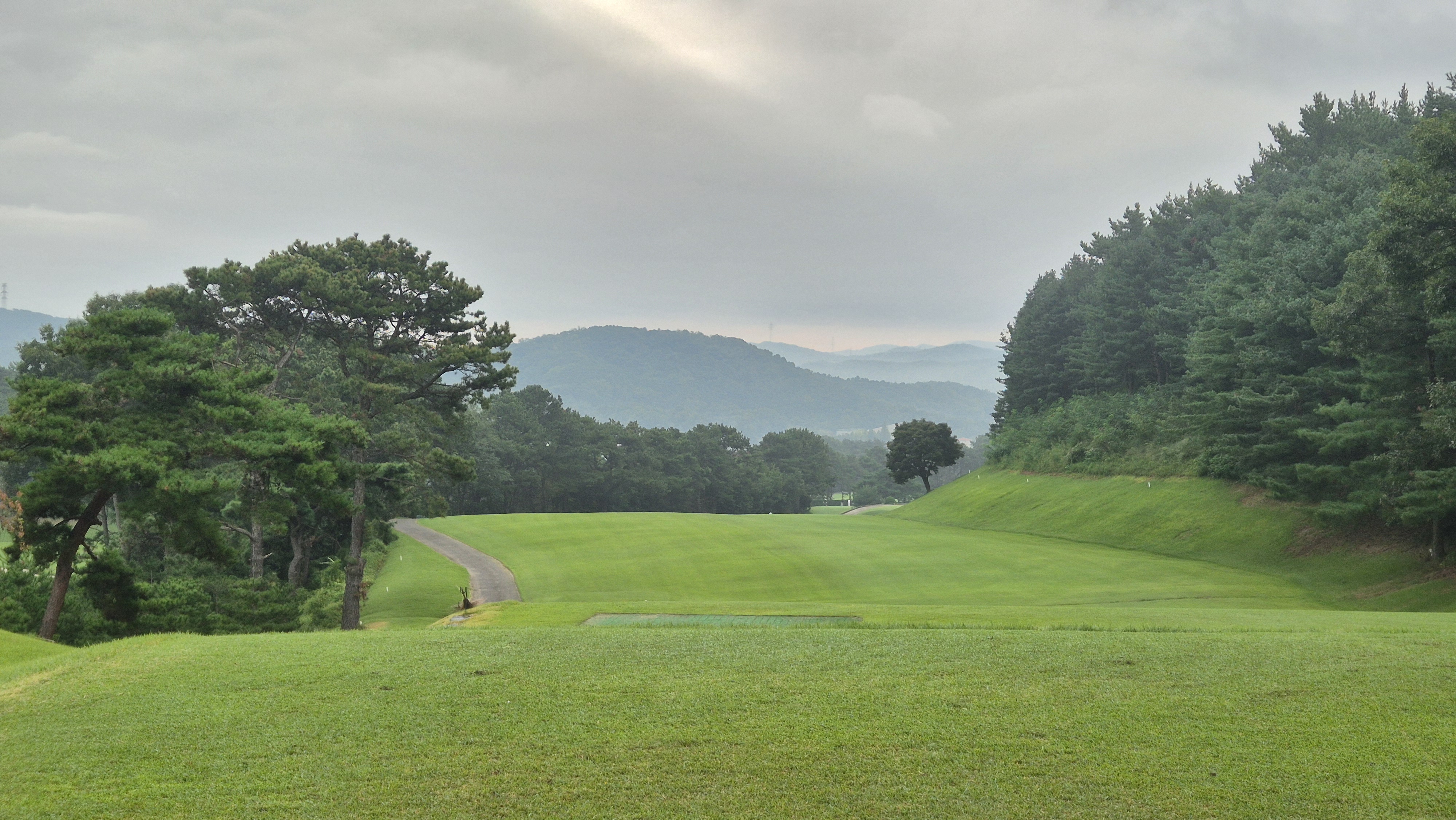 도고cc 코스 사진 및 공략 정보