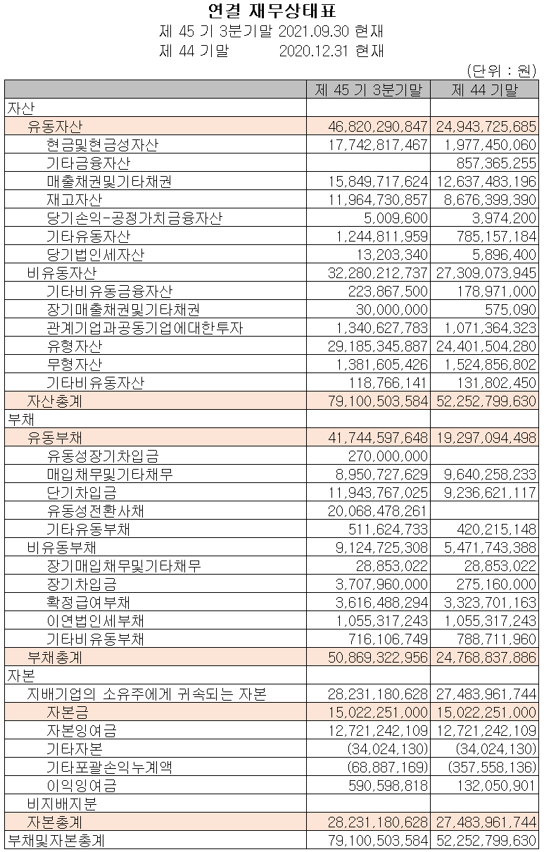 (주)뉴인텍 재무상태표