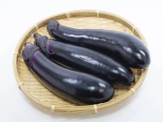 가지 효능 항산화 작용 도움