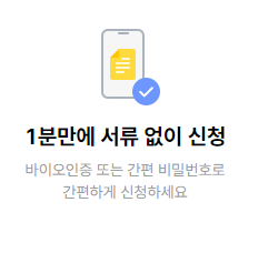300만원 대출