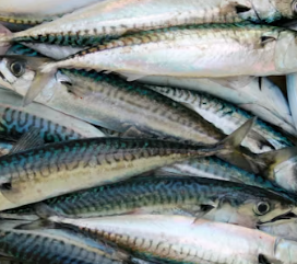 이명에 좋은 음식 영양제 식단