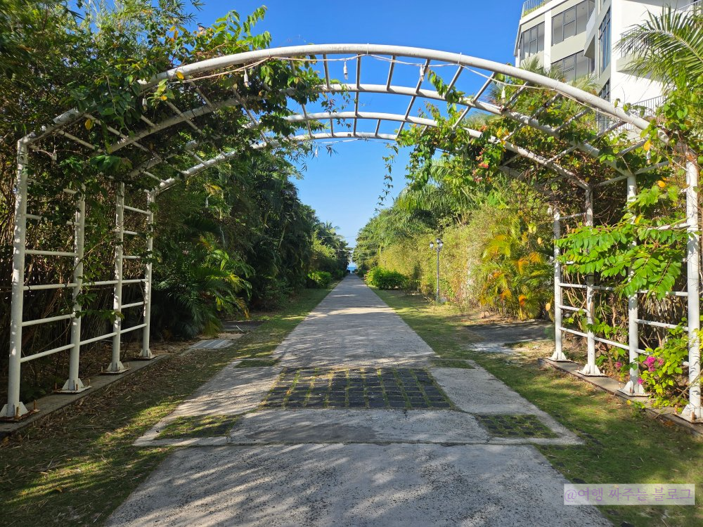 #소나시 비치바