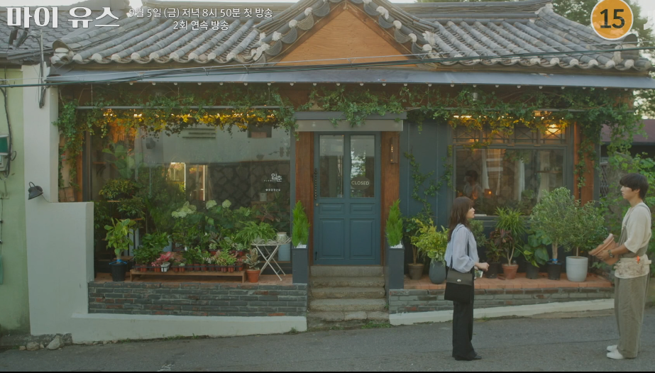 마이유스 드라마