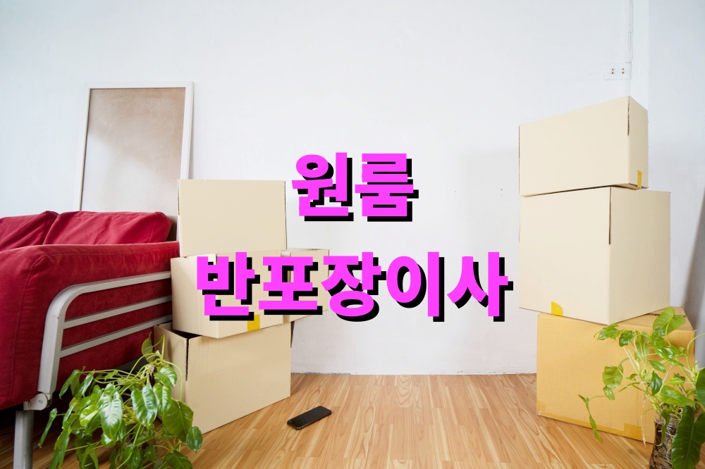 원룸 반포장이사 숨은 비용