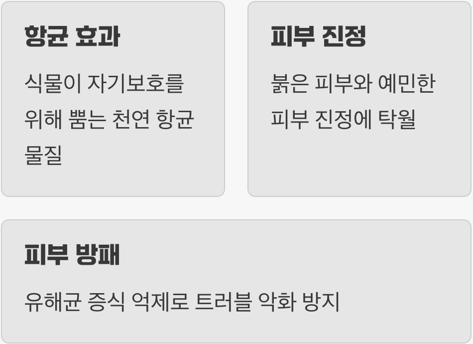 피부 진정의 핵심, '피톤치드'의 힘