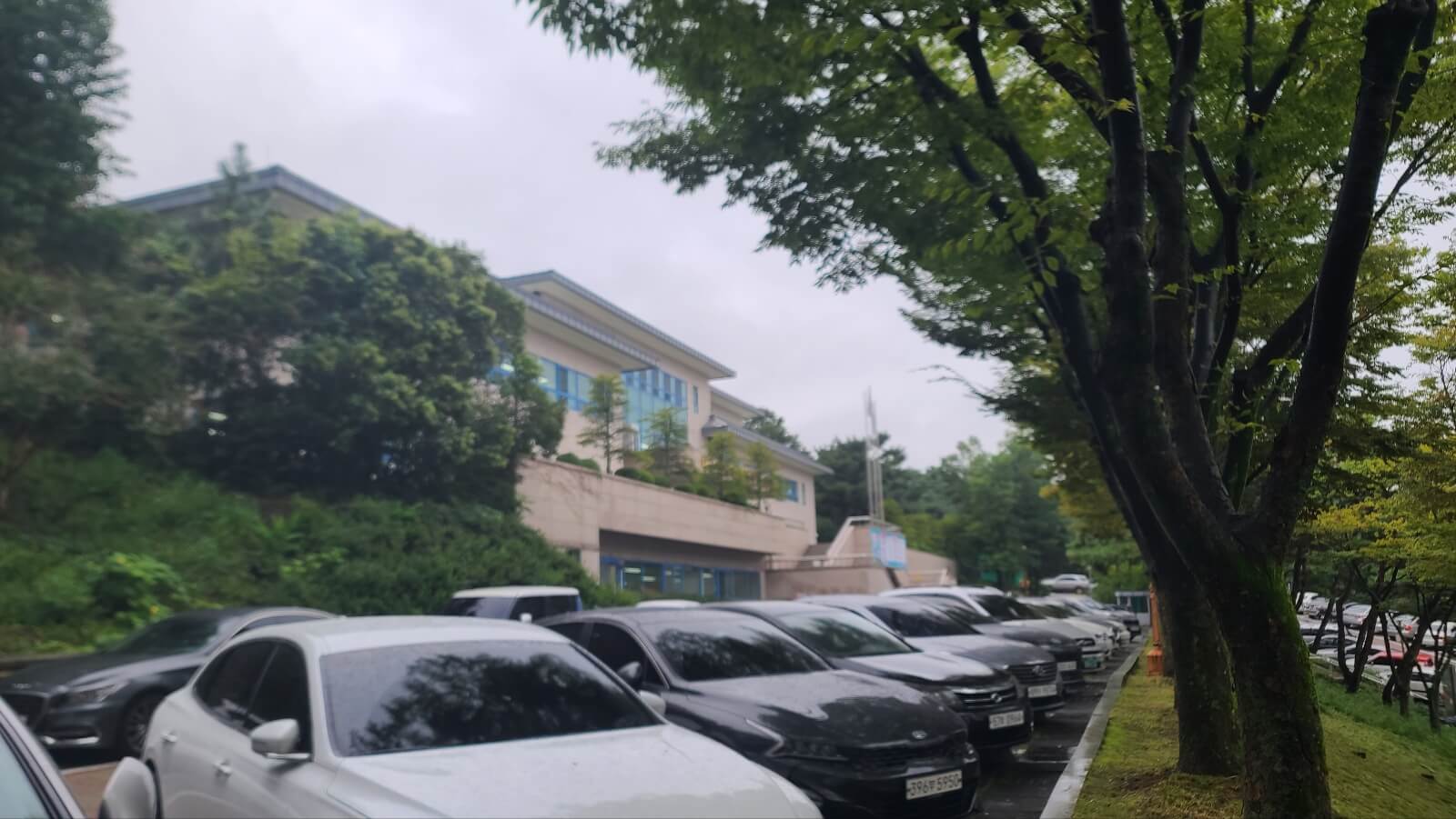 주차3