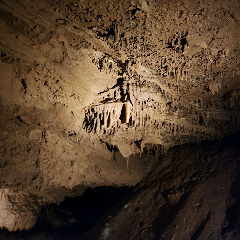 천곡황금박쥐동굴