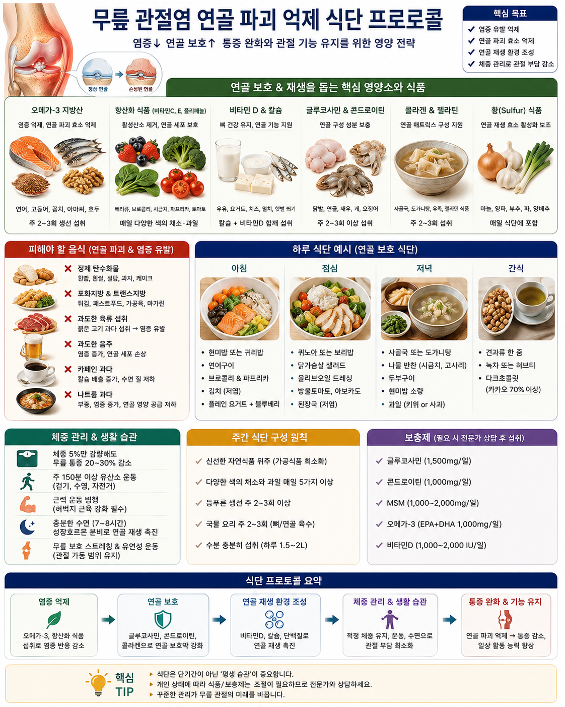 무릎 관절염 연골 파괴 억제 식단 프로토콜