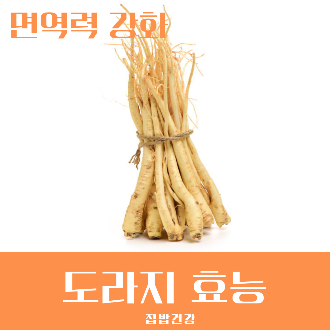 도라지 효능