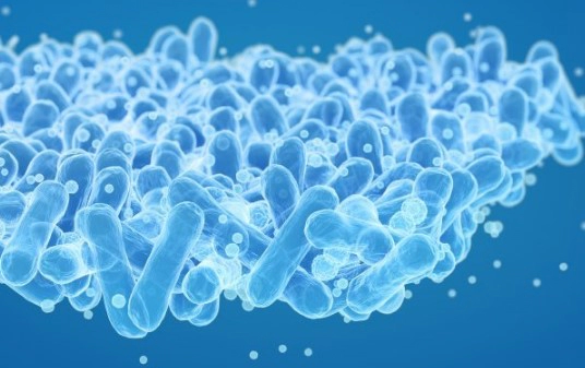 구강 유산균 복용방법 및 제품 추천 