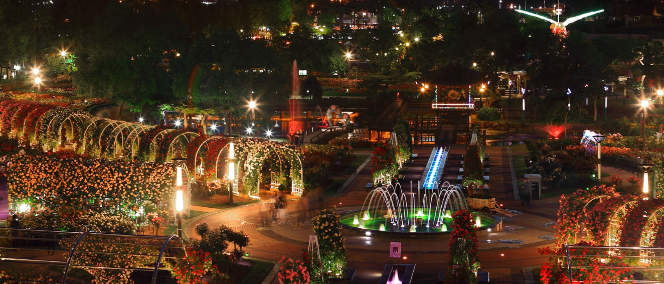 곡성장미축제현장