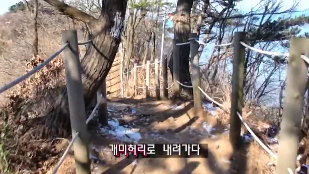 개미허리 방향으로 내려가는 나무 난간 길