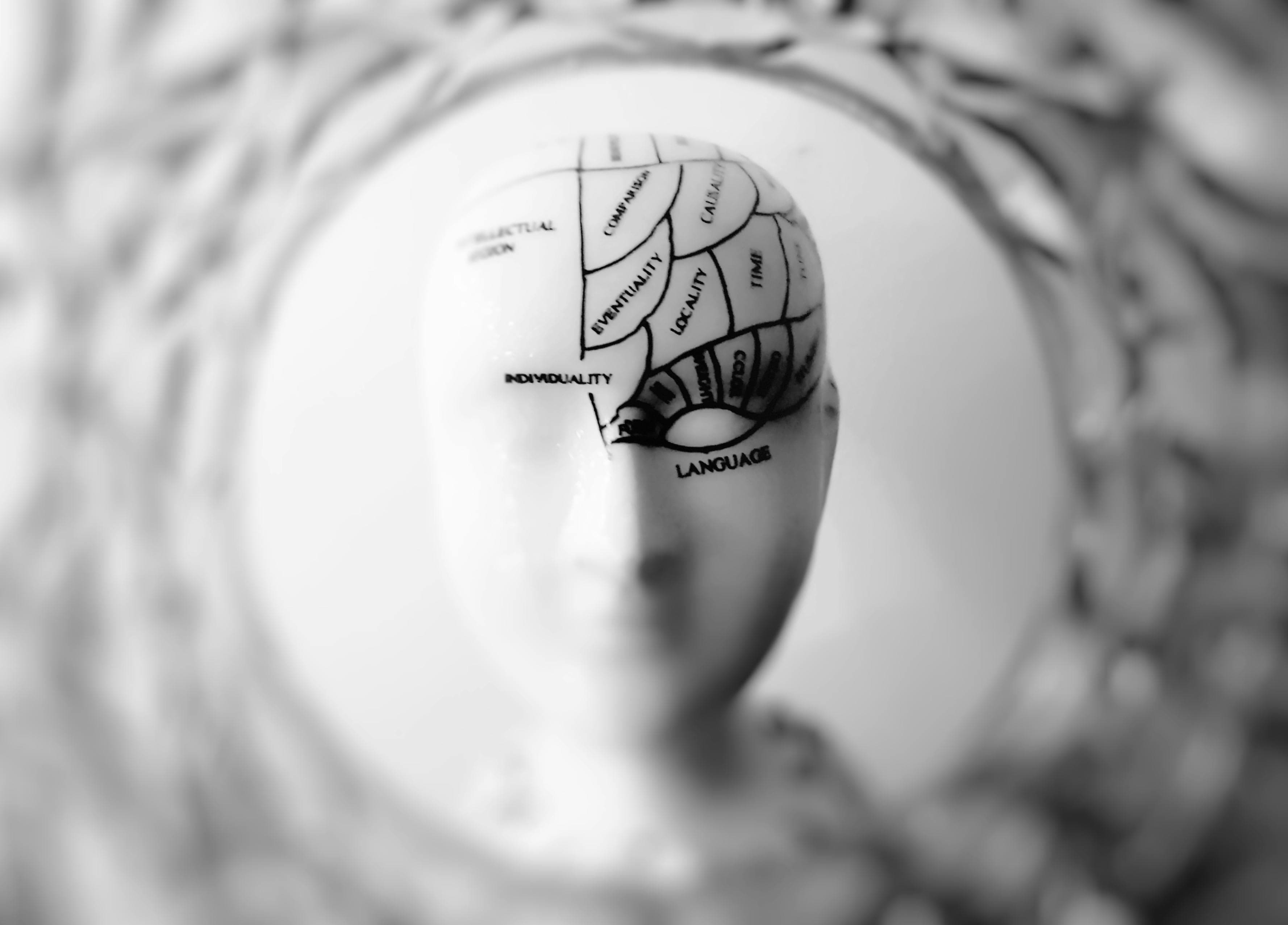 HSP(High Sensitivity Person): 뇌과학과 심리학으로 이해하기