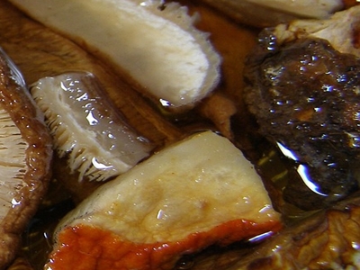 표고버섯 효능 사진24