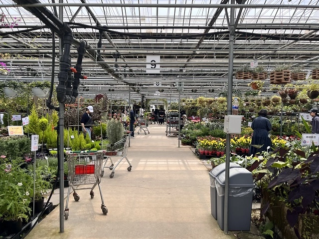 조인폴리아-쇼핑-센터