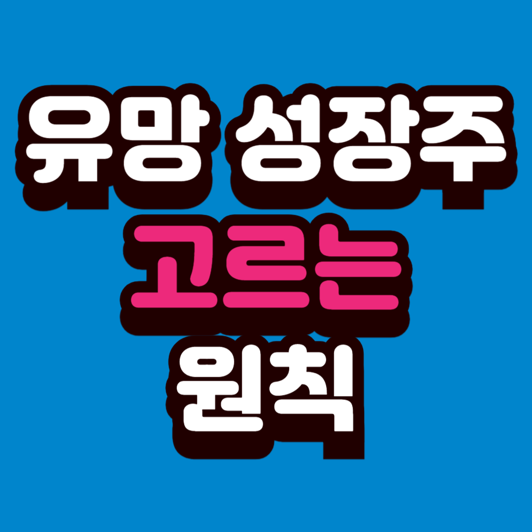 유망 성장주 고르는 기본 원칙