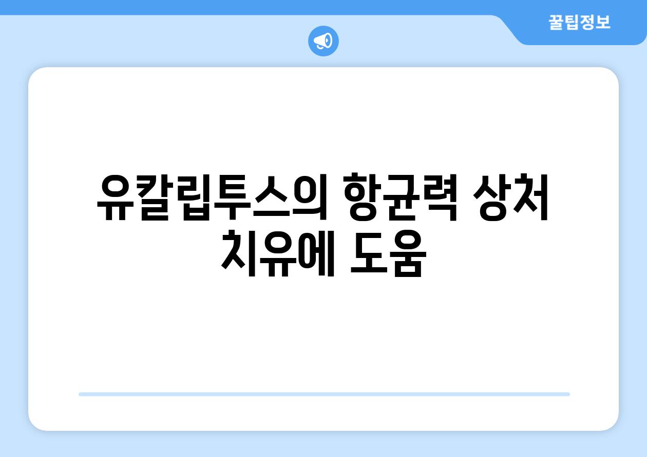 유칼립투스의 항균력 상처 치유에 도움