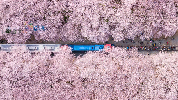 2025 코레일 추석예매 일정 한 눈에 보기