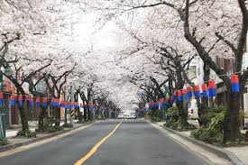 4월 제주도 가볼만한 곳 10곳