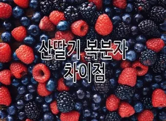 복분자 산딸기 차이점 생김새 영양소 비교 정리_2