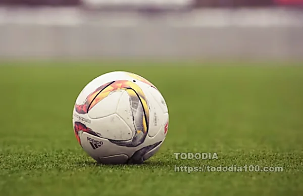 무승부 요약 및 득점자 정리