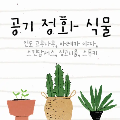 공기정화식물