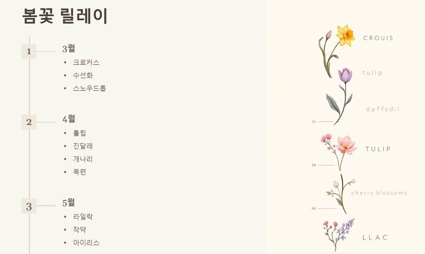 봄꽃 개화시기 피는 날짜