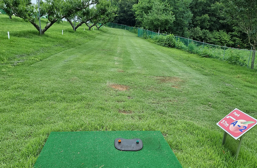 경상북도 경산 일월파크골프장 (일월 피닉스파크골프클럽) 소개