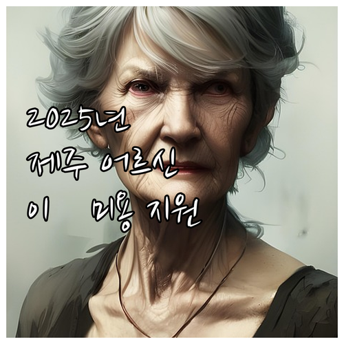 2025년 제주 만 65세 이상 어르..