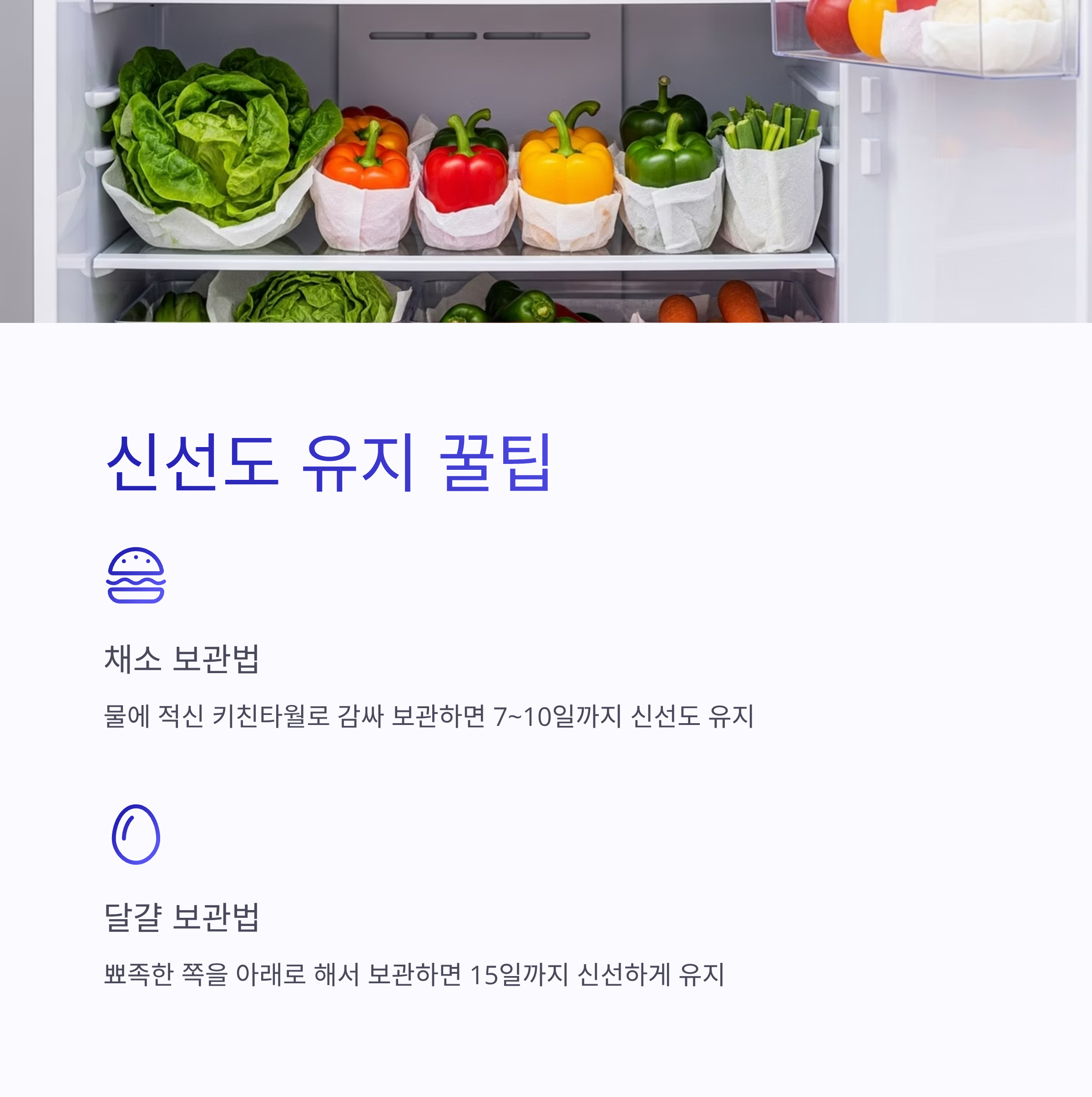 신선도 유지 꿀팁