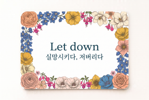 Let down 실망시키다