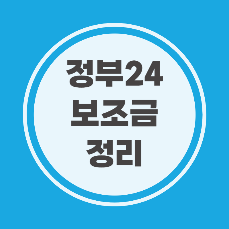 정부24 보조금 정리